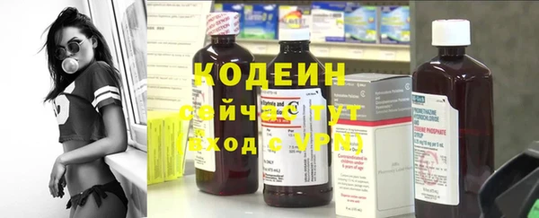 дурь Гусев