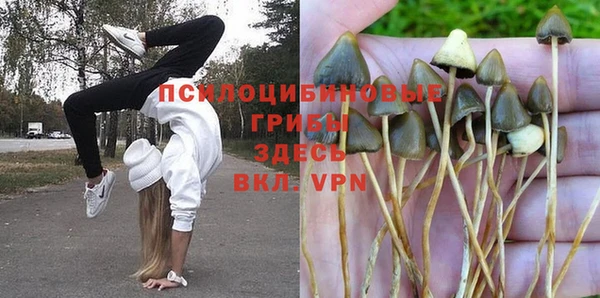 mdma Гусиноозёрск