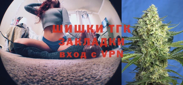 дурь Гусев