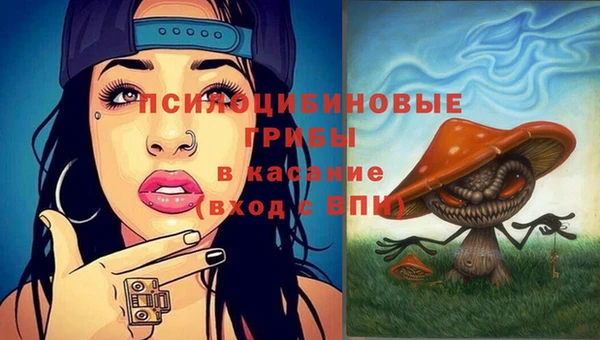 mdma Гусиноозёрск
