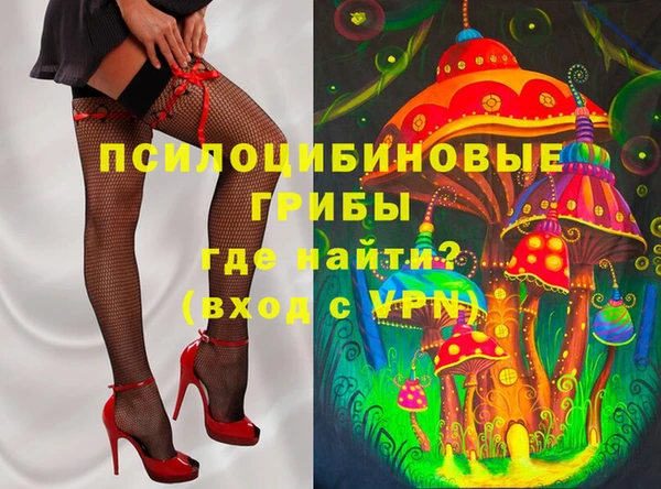 дурь Гусев